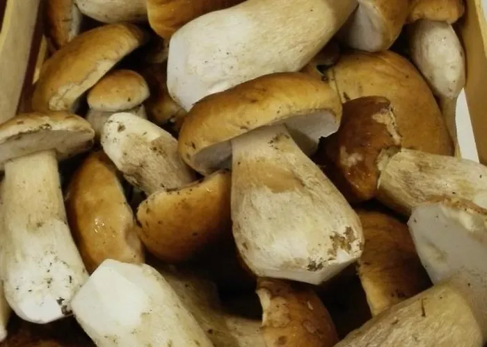 Achathotel Zum Schwan Idar-Oberstein